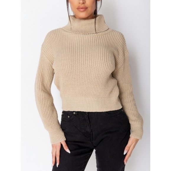 Beige Knitted Long Sleeve Turtle Neck Loose Fit Sweater Top - Picture 4 of 9